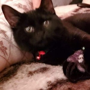 Meet your Posher, Connie